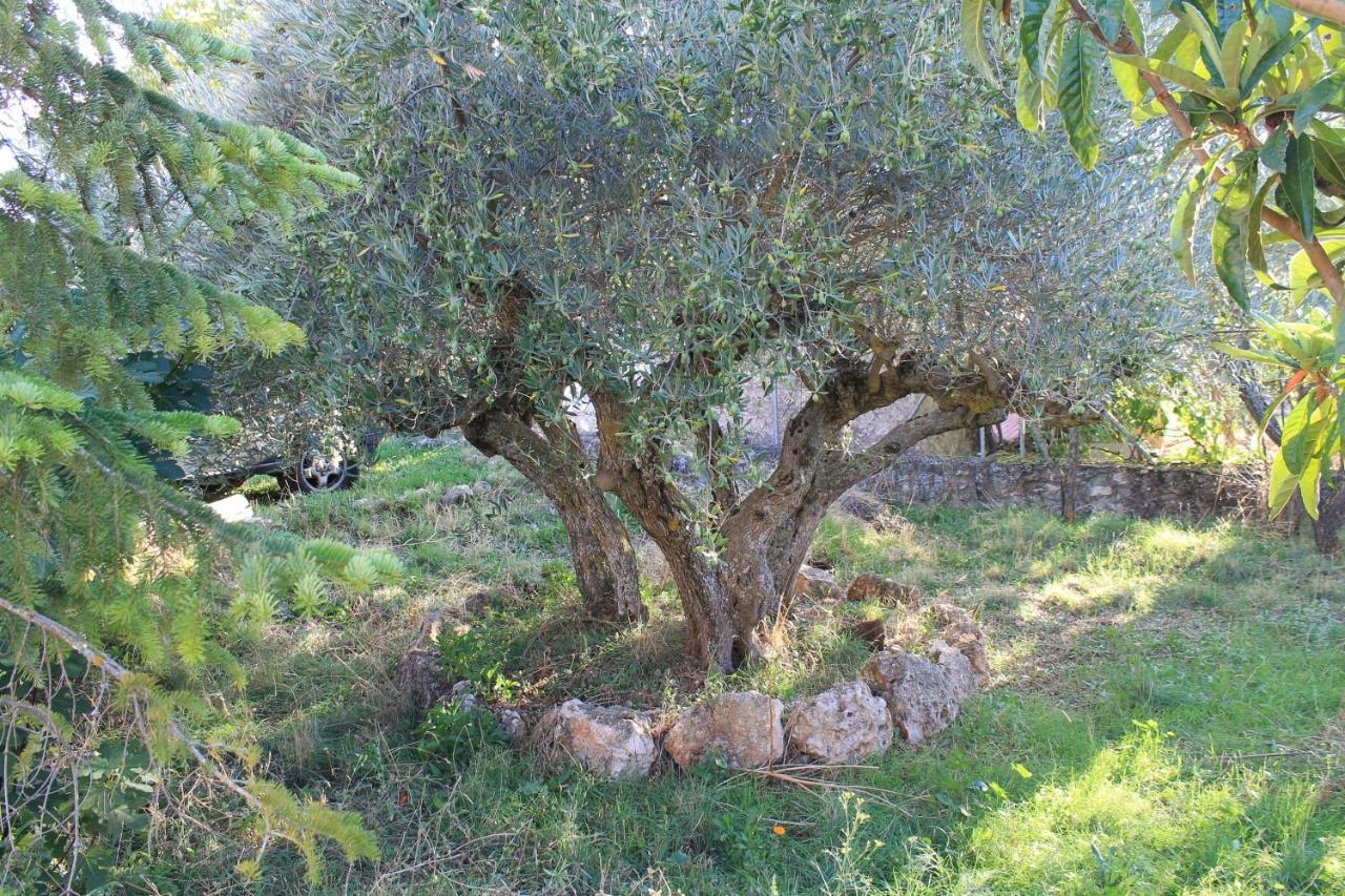 Casa Rural Baobab Romancos Zewnętrze zdjęcie