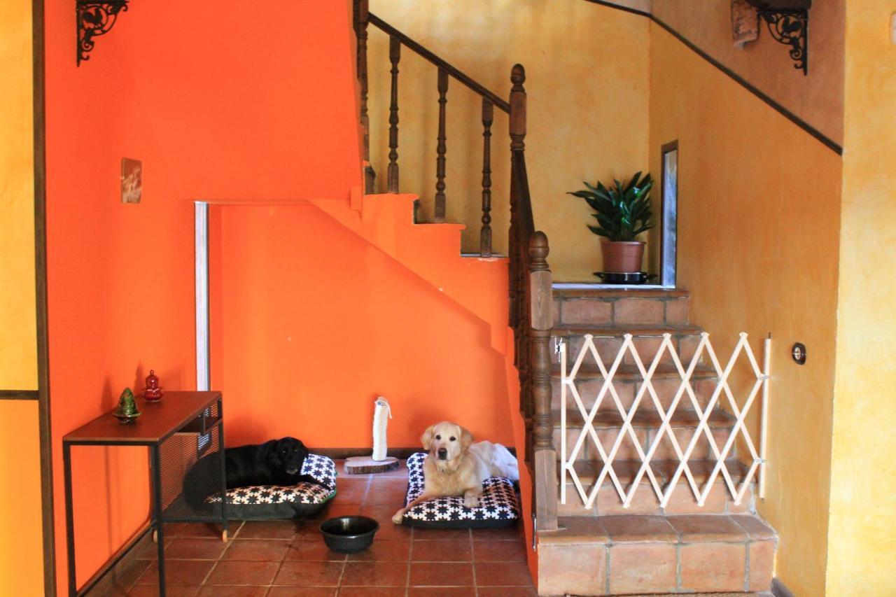Casa Rural Baobab Romancos Zewnętrze zdjęcie